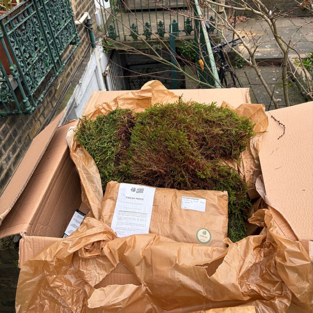 Image #1 from Anonymous