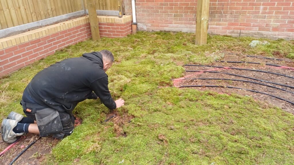 Our Show Garden Moss Guide Is Here