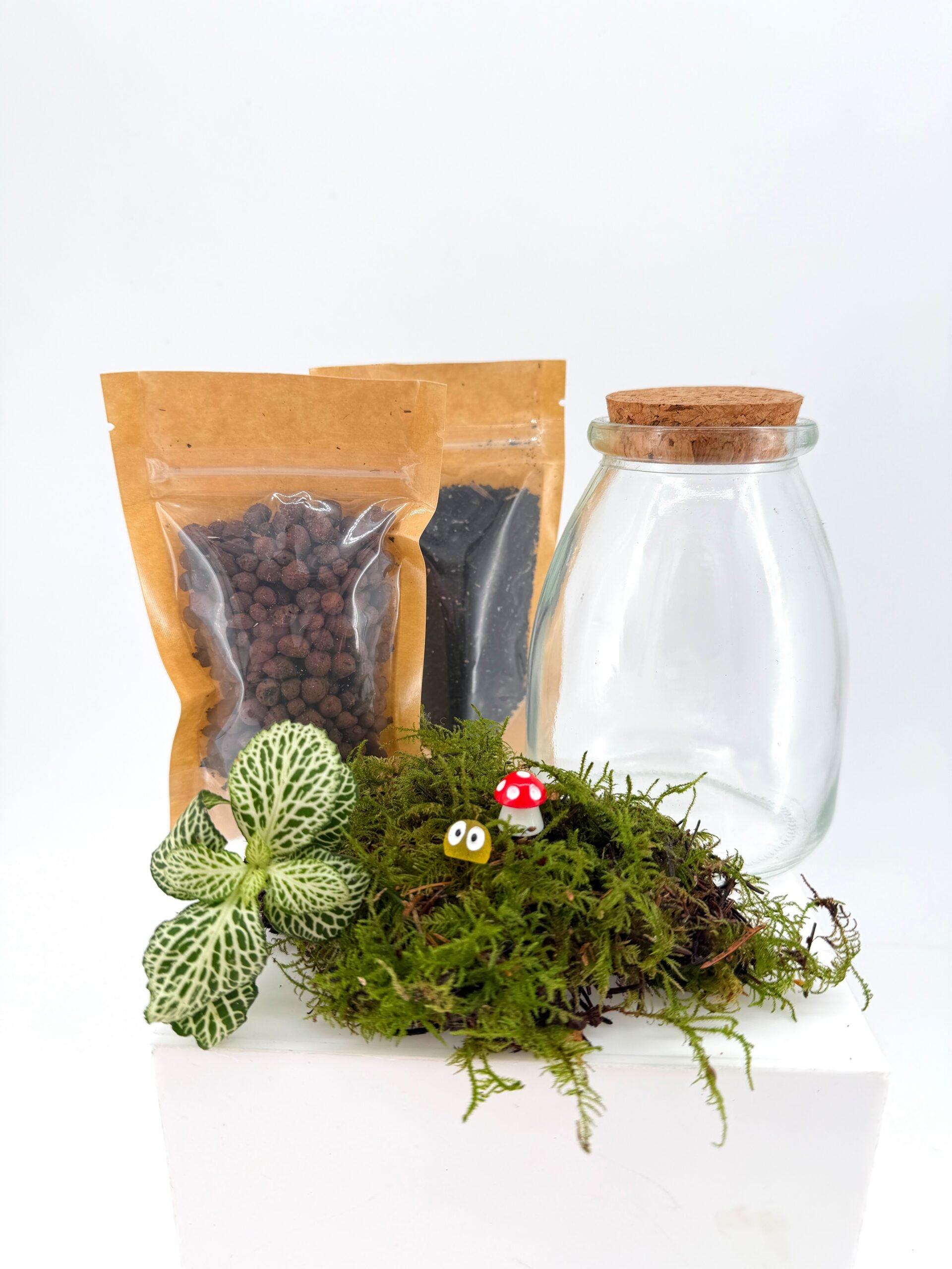 Mini Terrarium Kit Guide: What It Is and How to Make Yours Step by Step