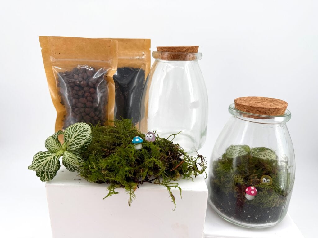 Mini terrarium kit display showing terrarium soil and clay pebbles bags, Fittonia plant and feather moss, alongside an eco glass jar with cork lid and a finished terrarium. Mini Terrarium Kit Guide: What It Is and How to Make Yours Step by Step