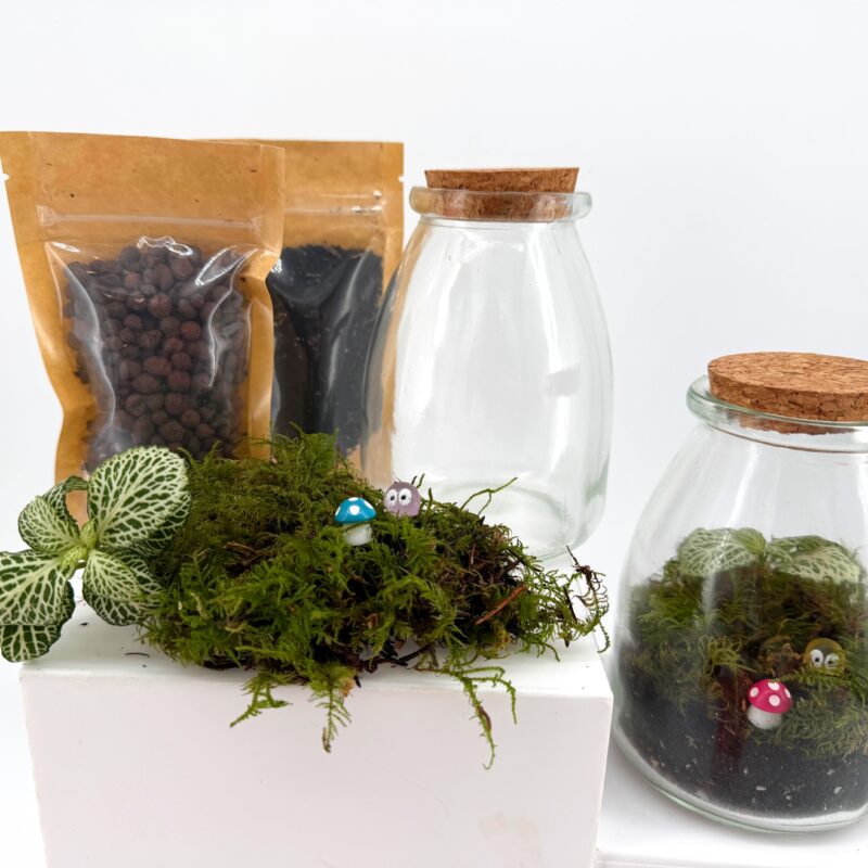 A full view of the kit and the finished result, showing the layers and the compact size of the eco glass jar terrarium. Mini terrarium kit display showing terrarium soil and clay pebbles bags, Fittonia plant and feather moss, alongside an eco glass jar with cork lid and a finished terrarium. Mini Terrarium Kit Guide: What It Is and How to Make Yours Step by Step