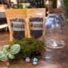 Highland Moss mini terrarium kit ingredients on a wooden table with eco glass jar, terrarium soil, clay pebbles, Fittonia nerve plant, feather moss and small terrarium decorations. Mini Terrarium Kit Guide: What It Is and How to Make Yours Step by Step