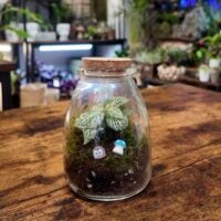Finished mini Fittonia terrarium in an eco glass jar with cork lid, moss base, and tiny decorations.