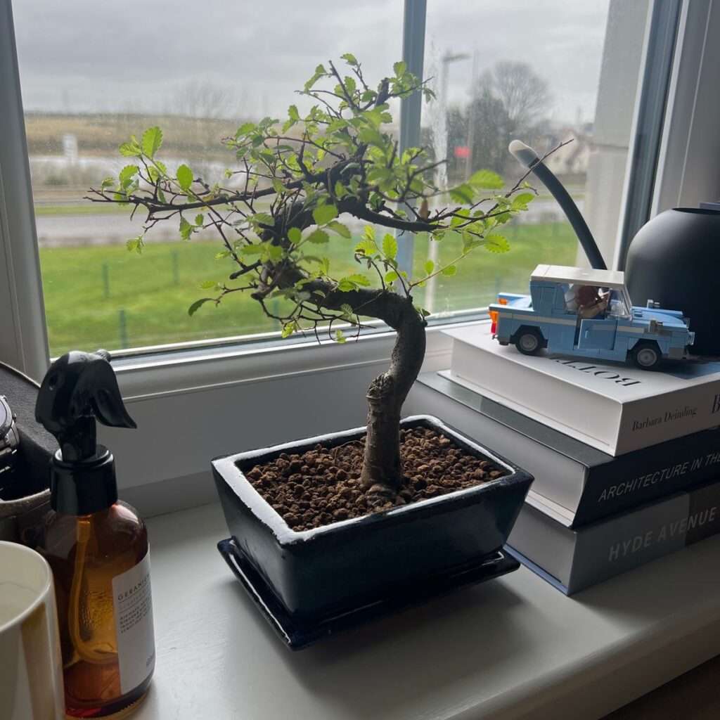 Image #1 from Daniel M.