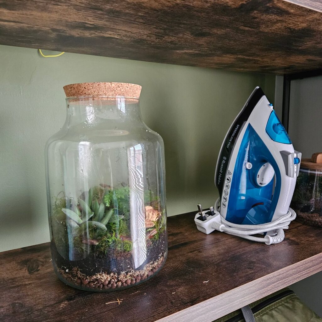 Image #1 from Lucy Gannon