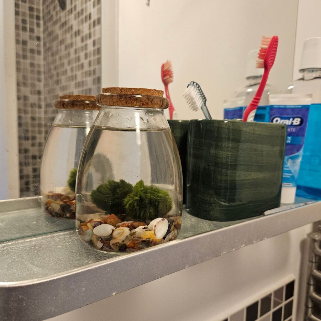 Image #1 from Lucy Gannon