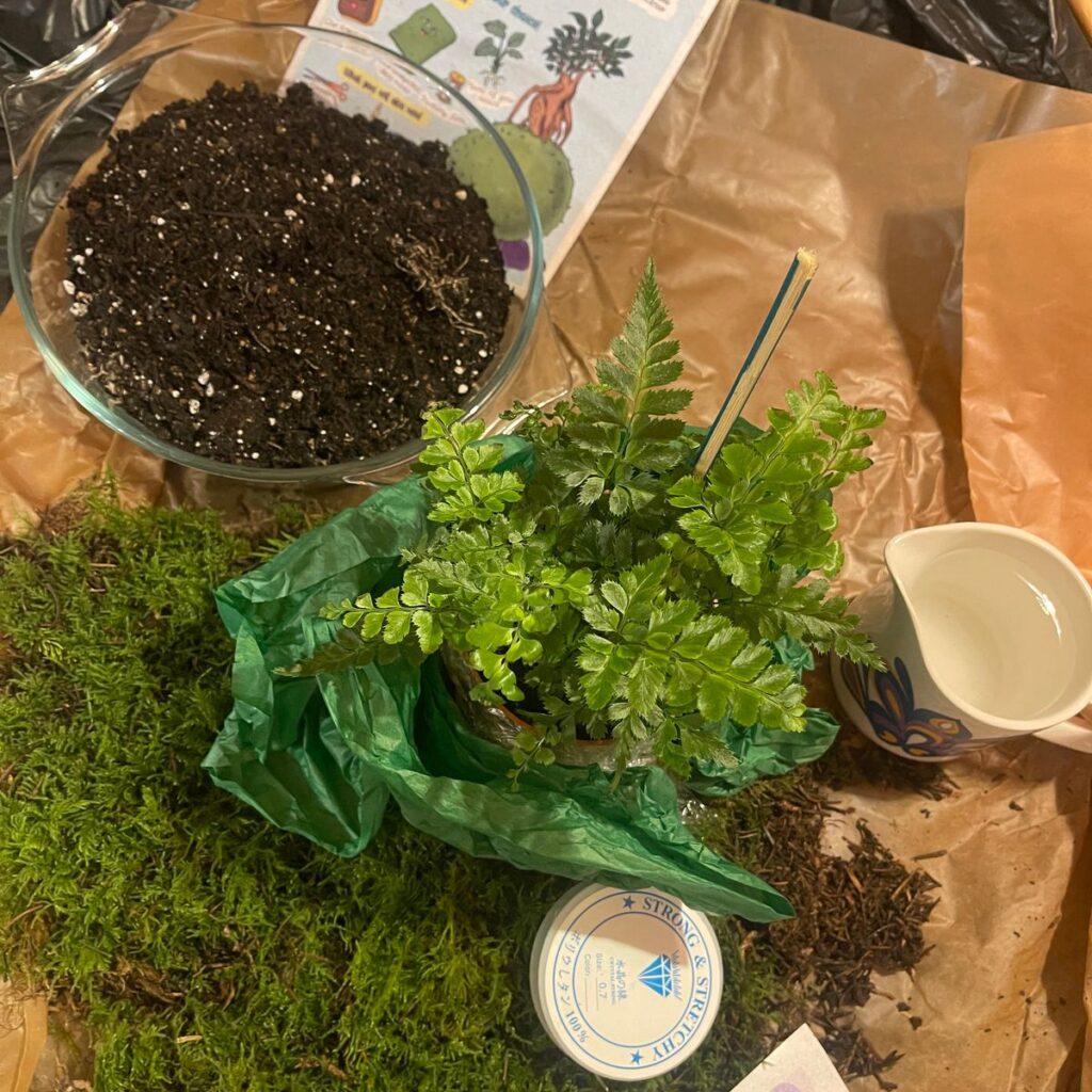 Image #1 from Kelly Cairns