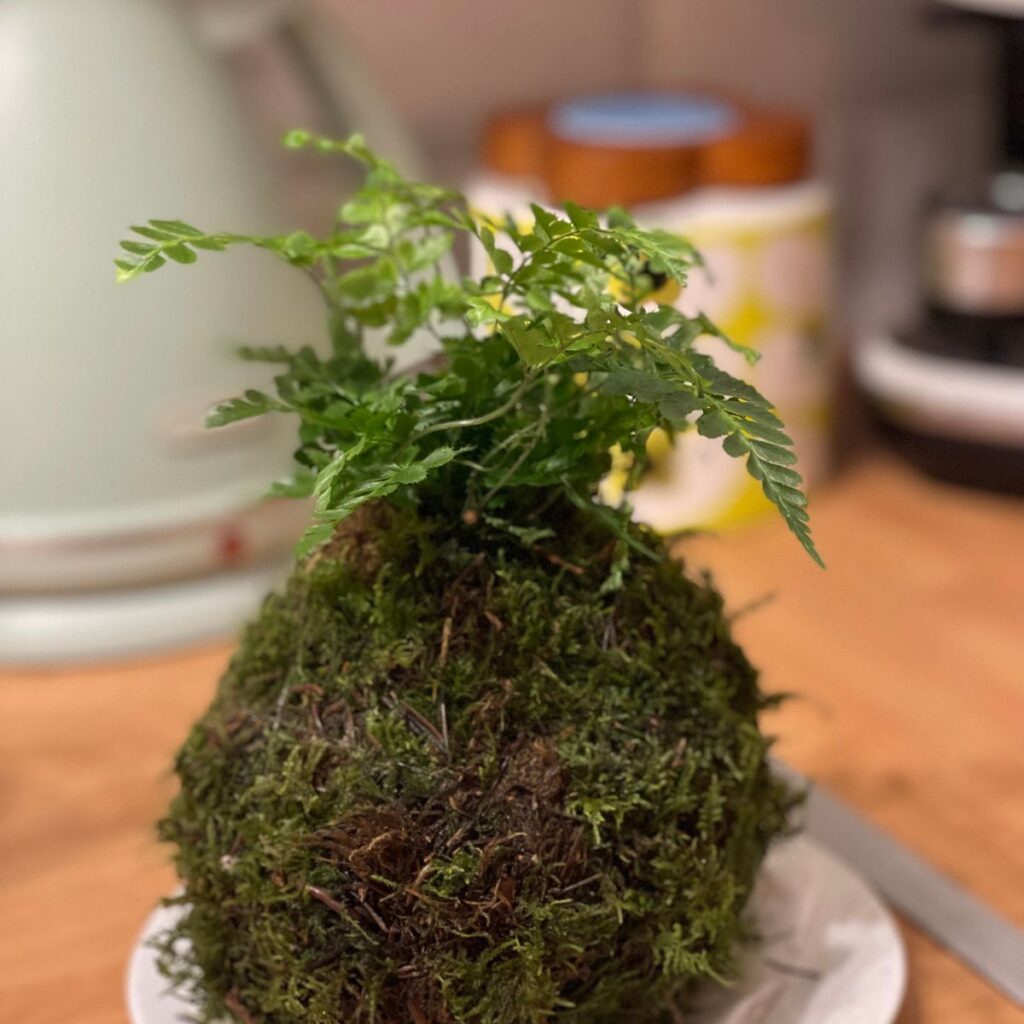 Image #2 from Kelly Cairns