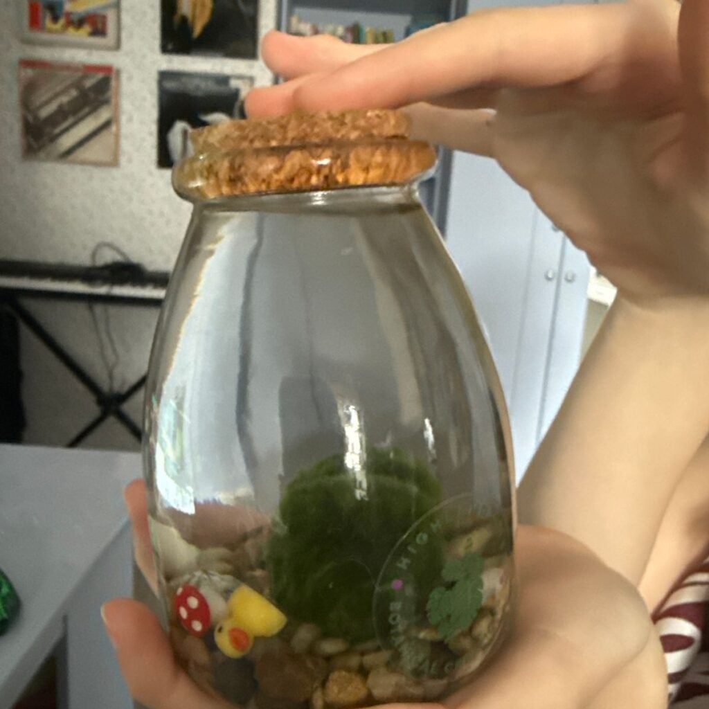 Image #1 from Nikola