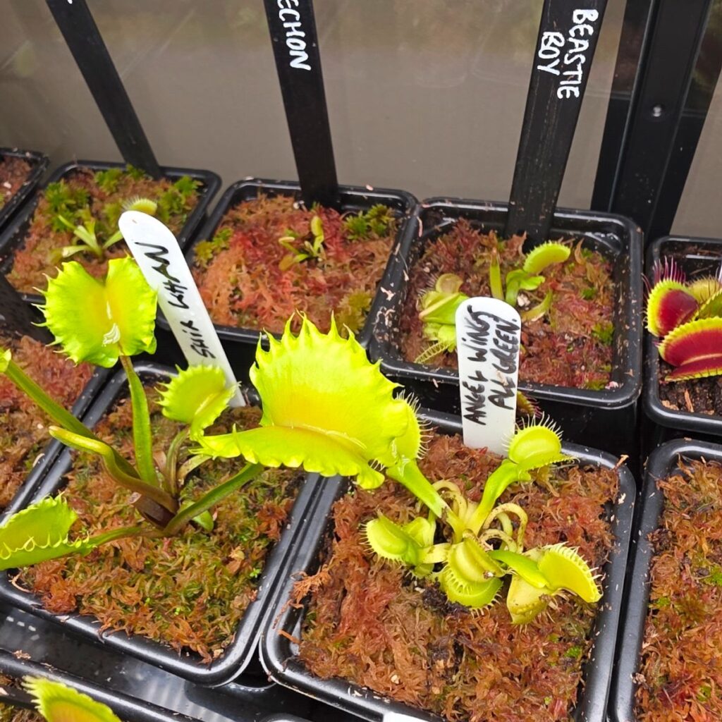 Image #3 from Kenny Duncan