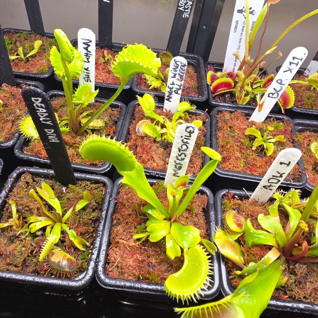 Image #1 from Kenny Duncan