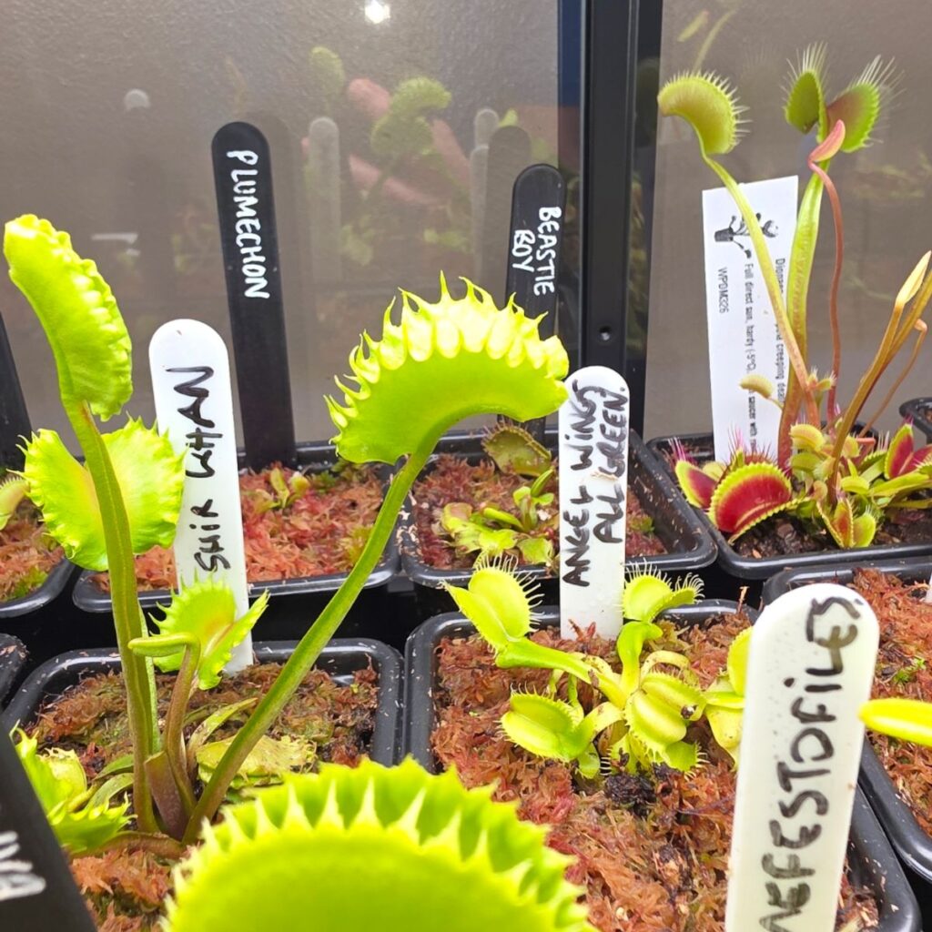 Image #2 from Kenny Duncan