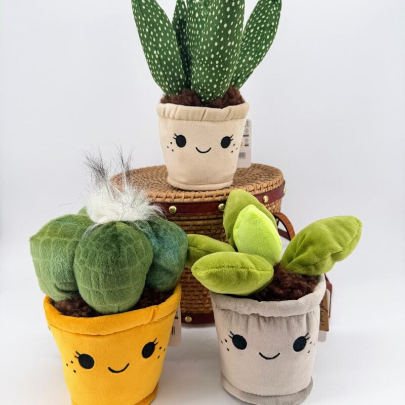 Cute Plant Plush Collectable Three cute kawaii plant plush collectables in smiling fabric pots, including cactus and leafy plant designs.
