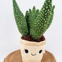 Close up of a kawaii spotted succulent plush collectable in a cream smiling plant pot.