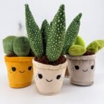 Cute Plant Plush Collectable