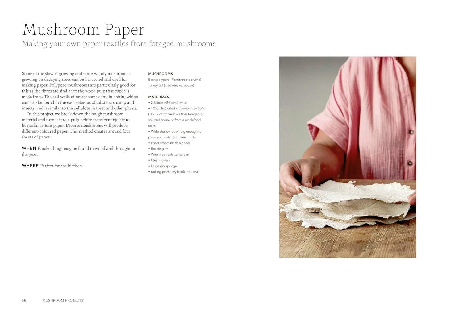 Mushroom growing projects featured inside Project Mushroom