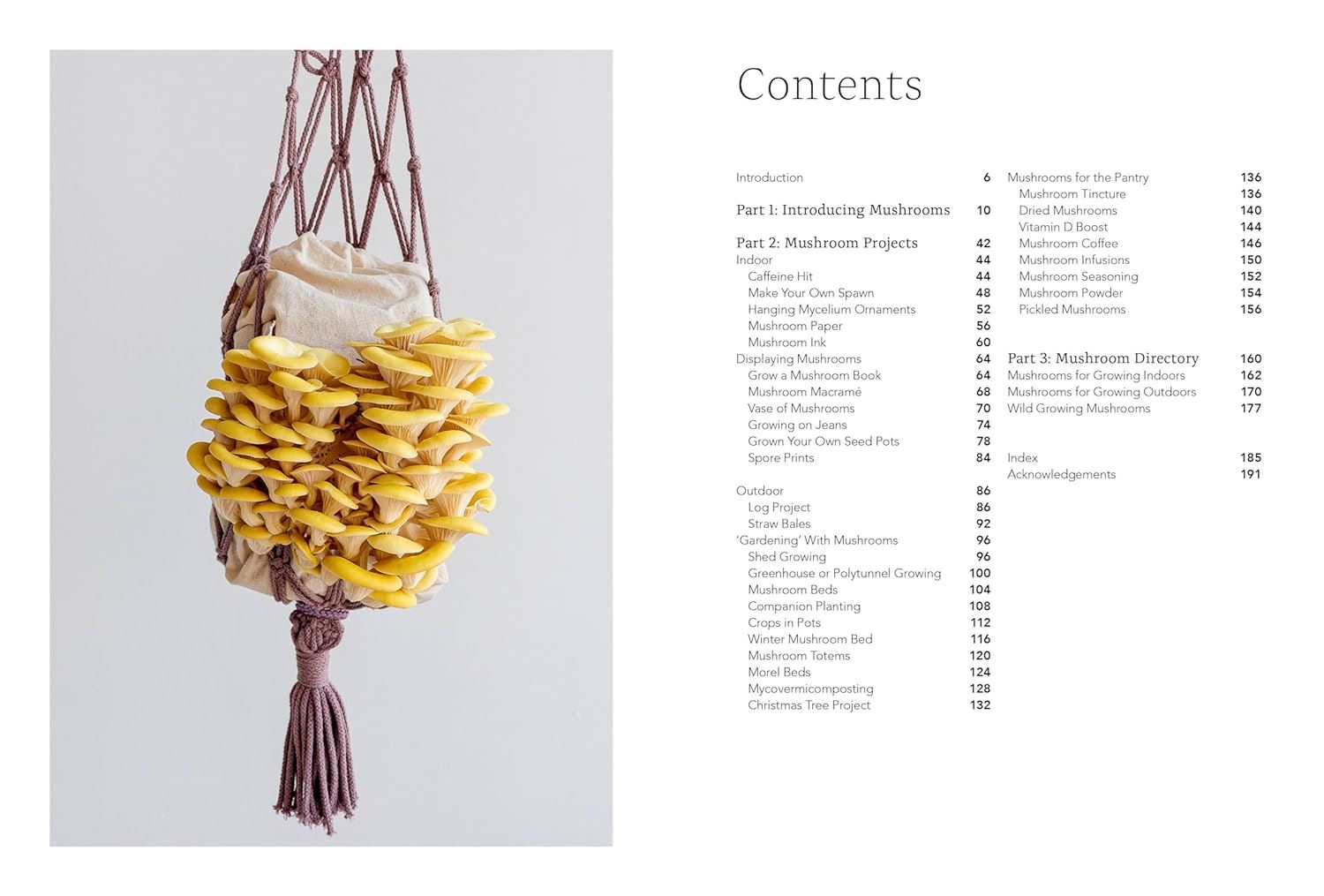 Project Mushroom hardback book by the Caley Brothers