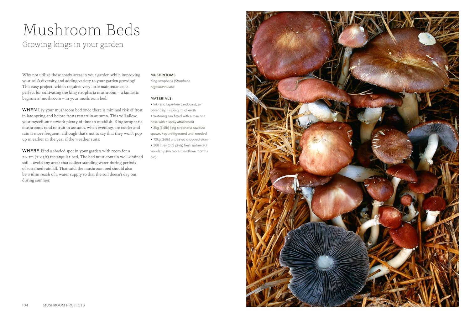 Inside Project Mushroom mushroom growing guide