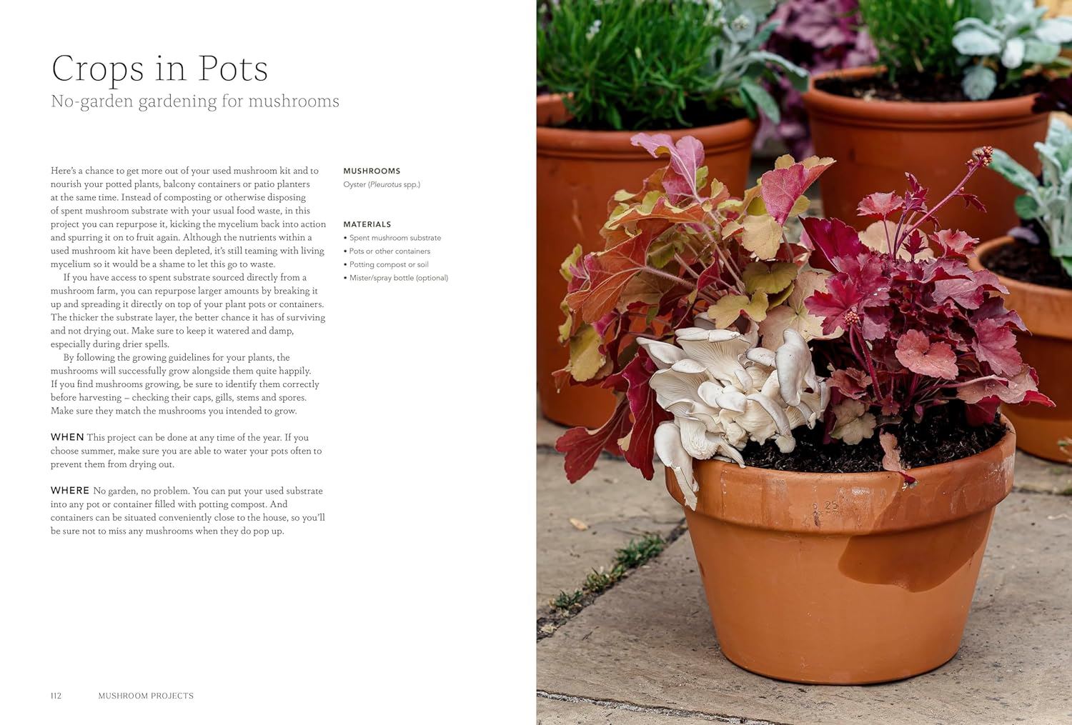 Mushroom growing projects featured inside Project Mushroom