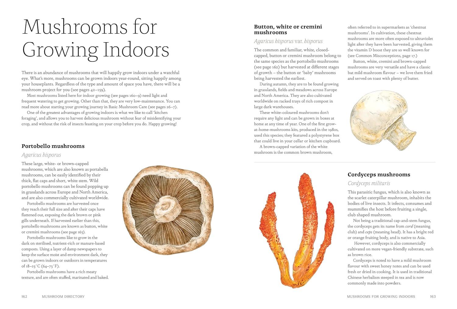 Kew guide to growing mushrooms at home