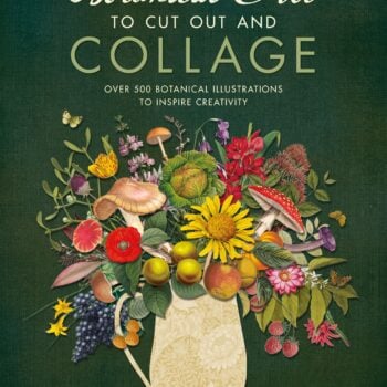Botanical Art to Cut Out and Collage book cover featuring flowers, fruit, fungi and foliage from Kew.