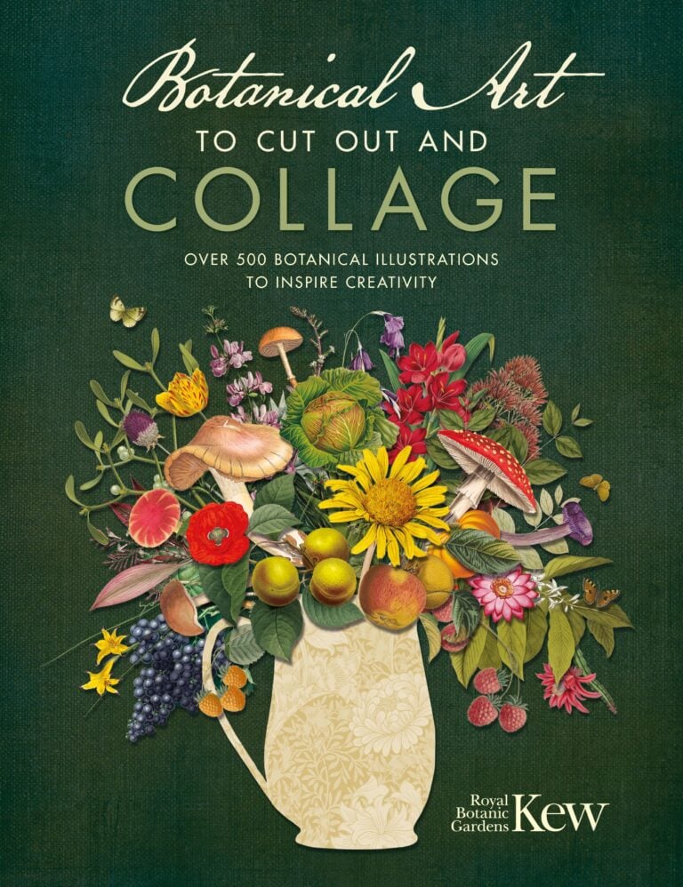 Botanical Art to Cut Out and Collage book cover featuring flowers, fruit, fungi and foliage from Kew.