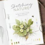 Sketching Nature - Dianne Sutherland