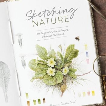 Sketching Nature by Dianne Sutherland botanical art book with primrose illustration and watercolour paints.