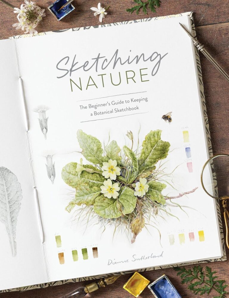 Sketching Nature by Dianne Sutherland botanical art book with primrose illustration and watercolour paints.