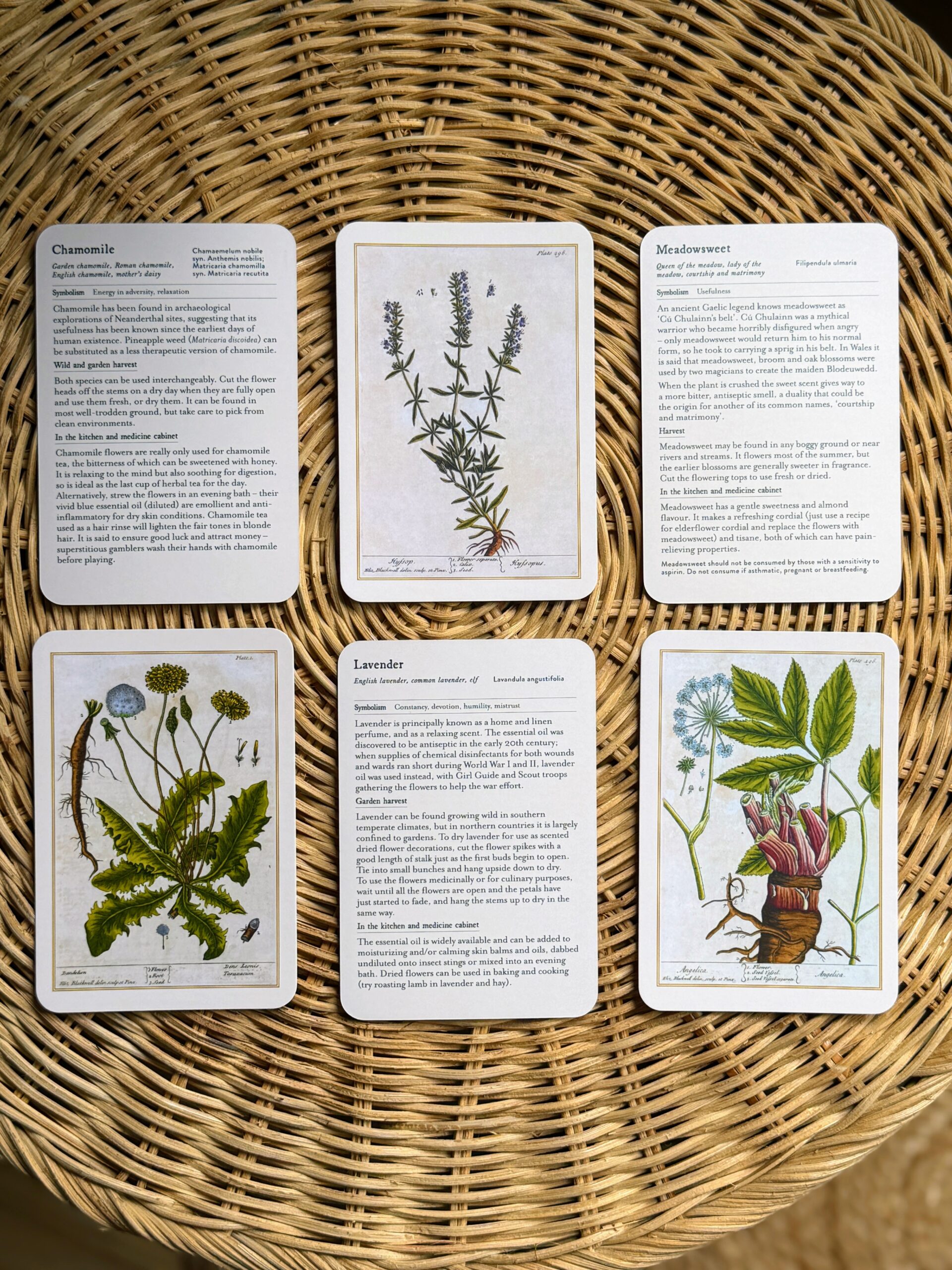 Healing Plants boxed set of 50 botanical cards from Chelsea Physic Garden displayed on a woven rattan background.