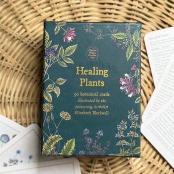 Healing Plants botanical cards featuring chamomile, lavender, meadowsweet and vintage plant illustrations.