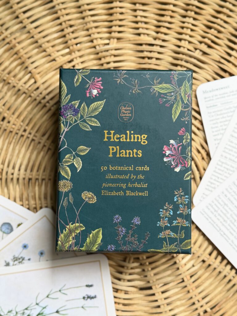 Healing Plants botanical cards featuring chamomile, lavender, meadowsweet and vintage plant illustrations.