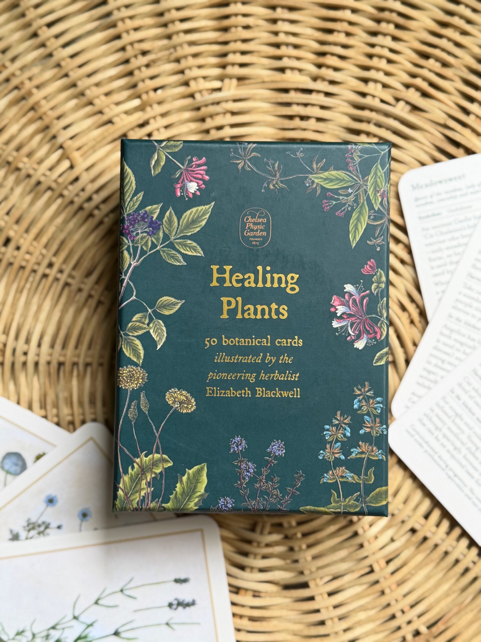 Healing Plants botanical cards featuring chamomile, lavender, meadowsweet and vintage plant illustrations.
