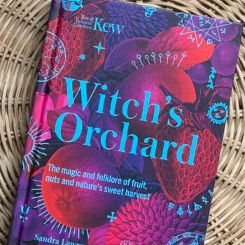 Witch’s Orchard by Sandra Lawrence hardback book on a natural woven rattan background.