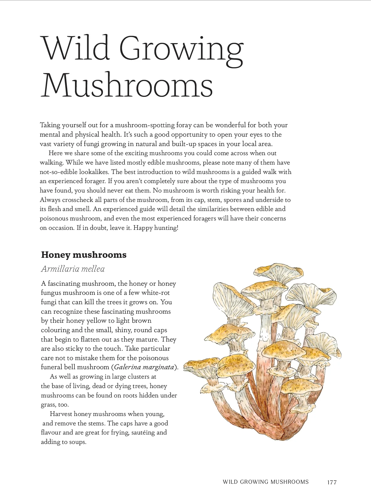 Mushroom growing projects featured inside Project Mushroom