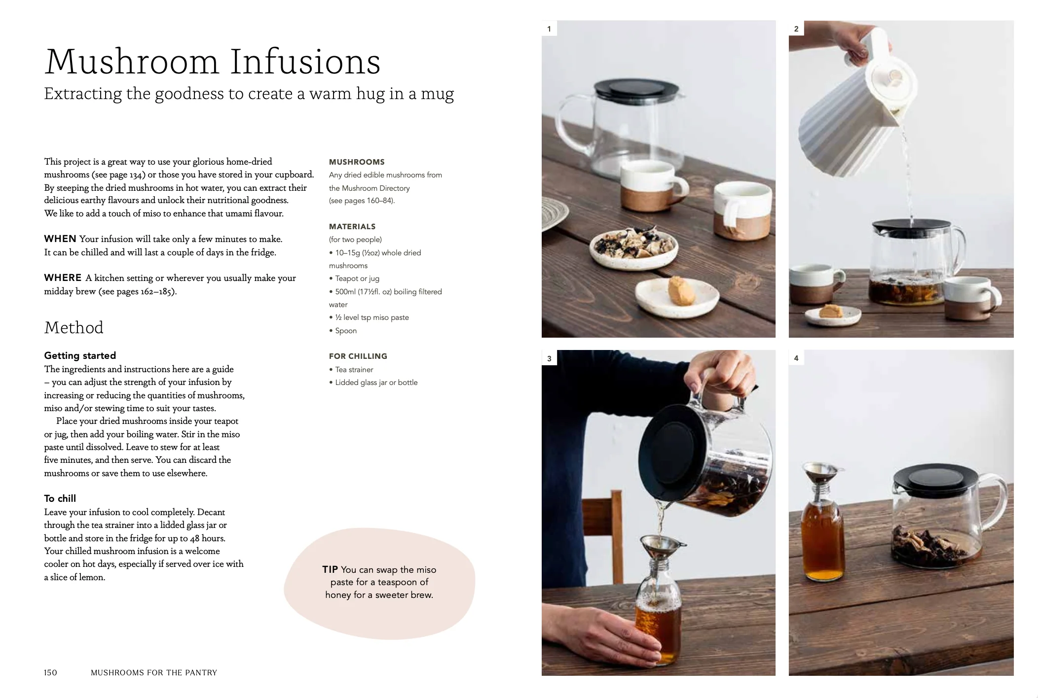 Mushroom growing projects featured inside Project Mushroom