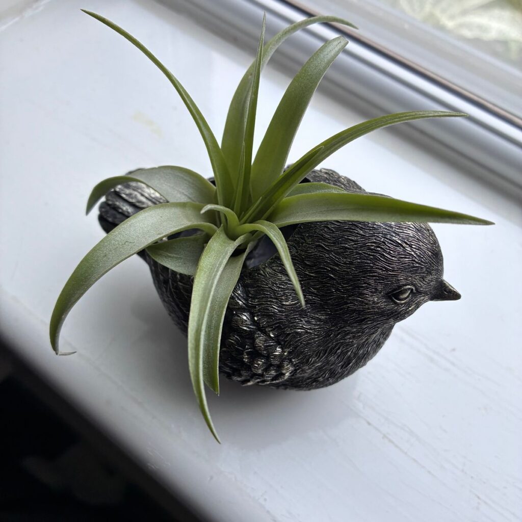 Image #1 from Gill R.